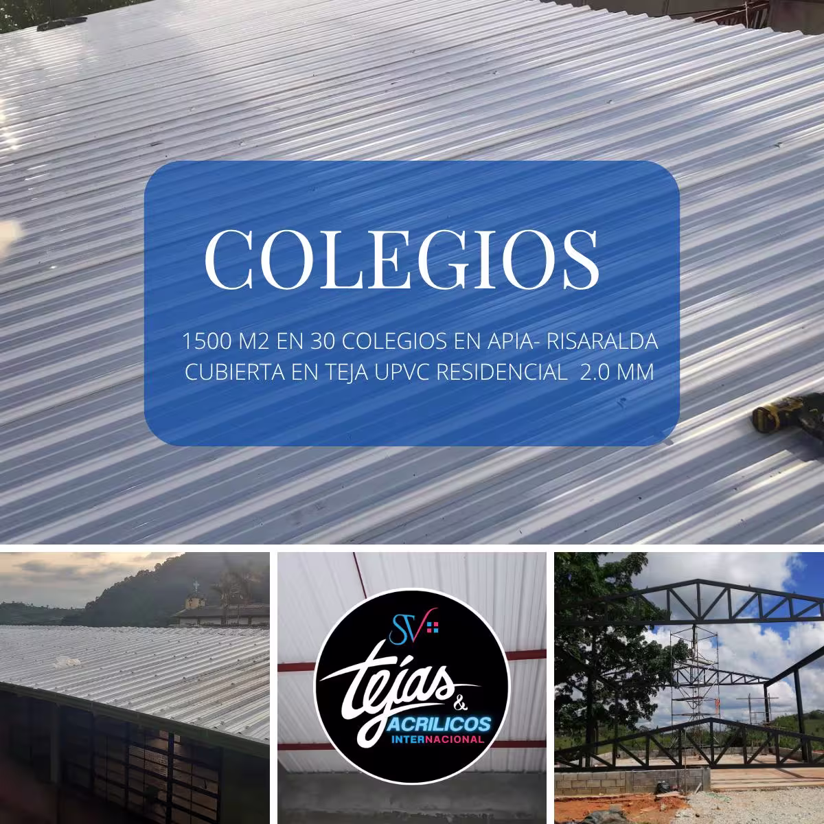 Proyecto 6